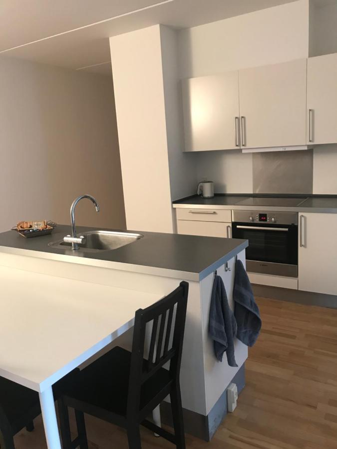 Lejlighed Spacious And Renovated Flat