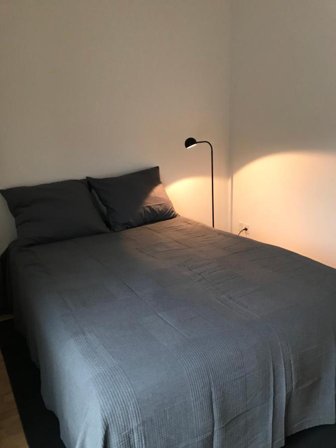 Lejlighed Spacious And Renovated Flat